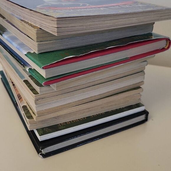 Lot of 15 Magic Tree House books. Mixture of series, pre-owned condition 1 ex-li - Picture 3 of 7